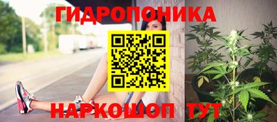 ГАЛЛЮЦИНОГЕННЫЕ ГРИБЫ Кингисепп